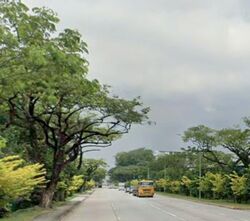 Changi South Amenity Centre (D16), Factory #555022581